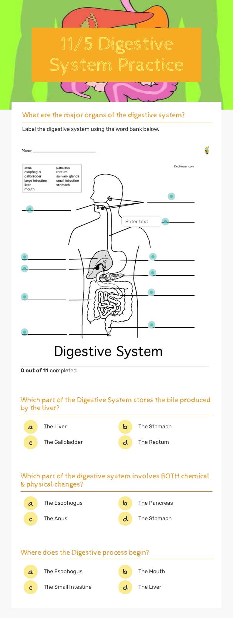 11/5 Digestive System Practice worksheet preview image