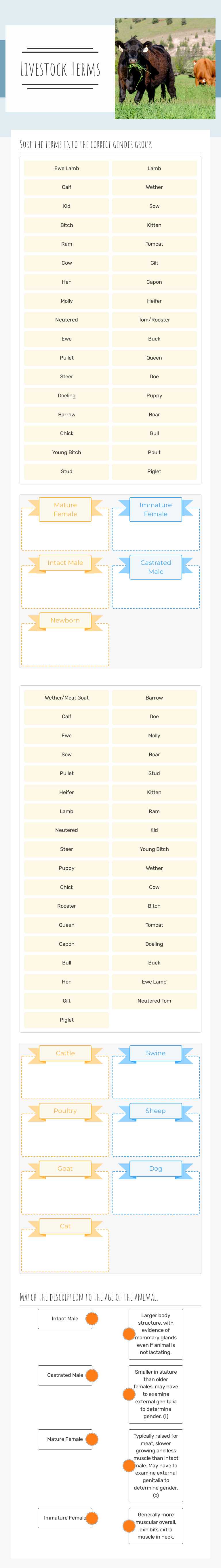 Livestock Terms Grade 10 worksheet preview