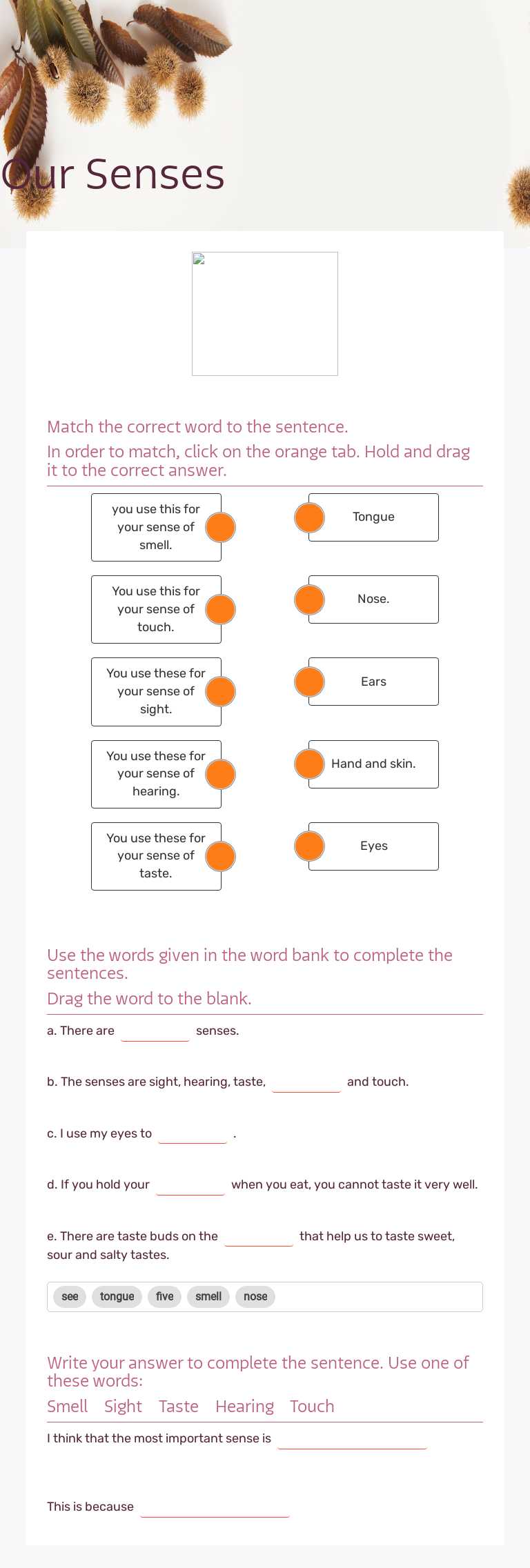 Our Senses Grade 1 worksheet preview