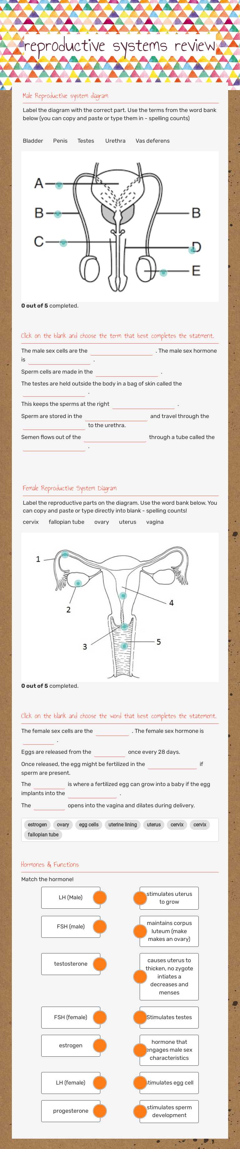 reproductive systems review Grade 10 worksheet preview