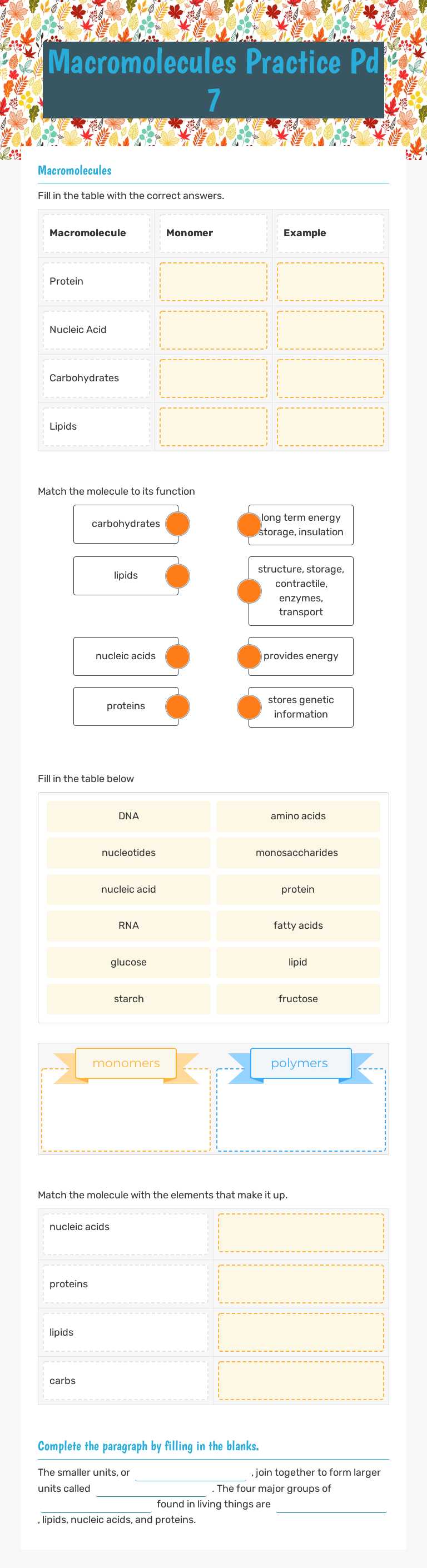 Macromolecules Practice  Pd 7 worksheet preview image