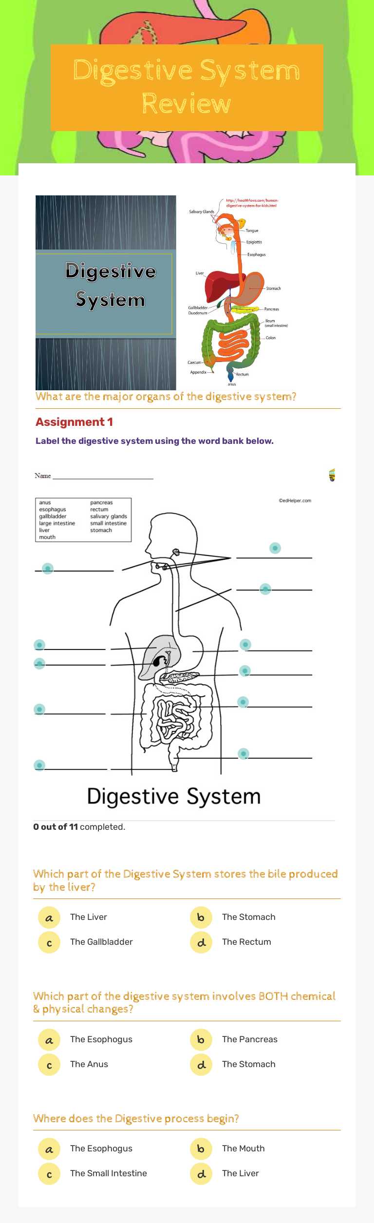 Digestive System Review Grade 7 worksheet preview