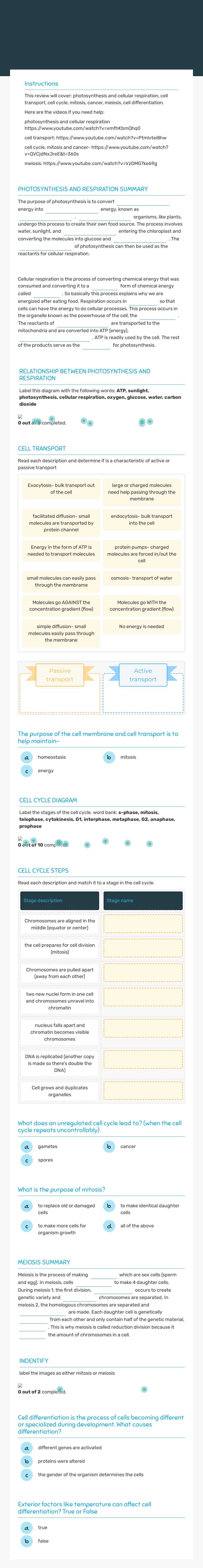 BM 1 Review 2 worksheet preview image