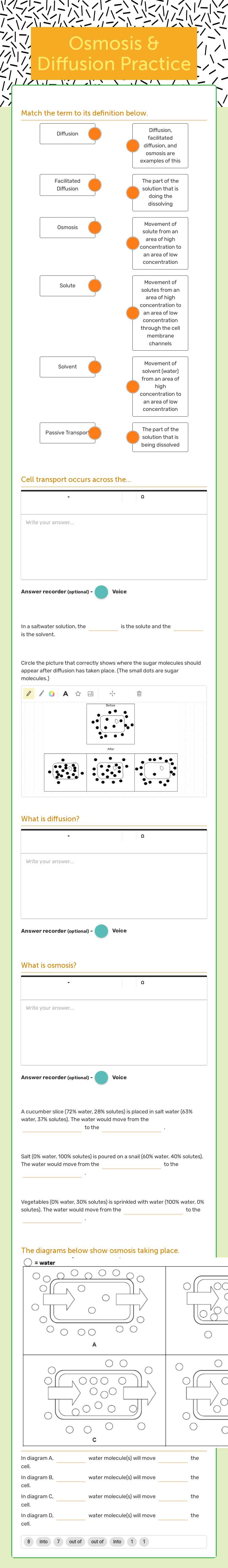 Osmosis & Diffusion Practice worksheet preview