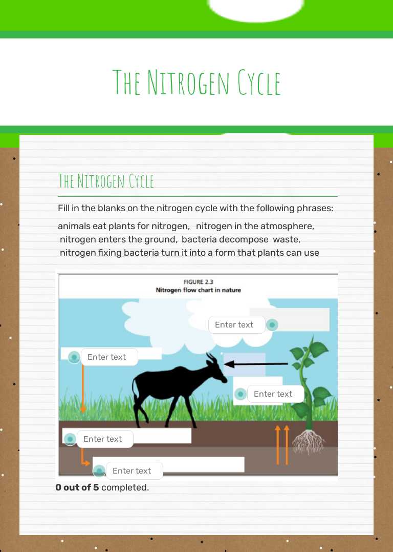 The Nitrogen Cycle by Catherine Nord | Interactive Worksheet | Wizer.me