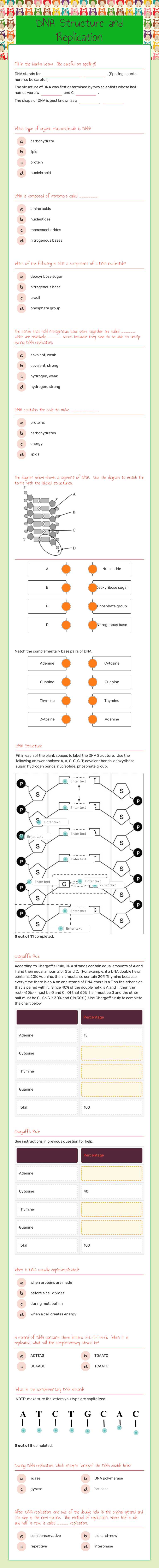 DNA Structure and Replication worksheet preview image