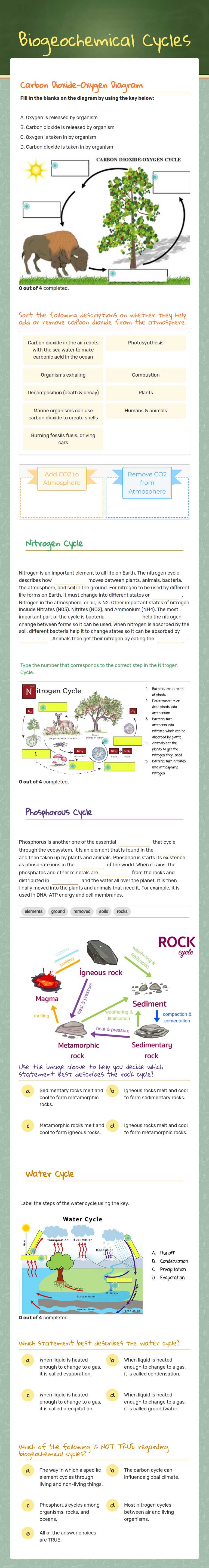 Biogeochemical Cycles worksheet preview image