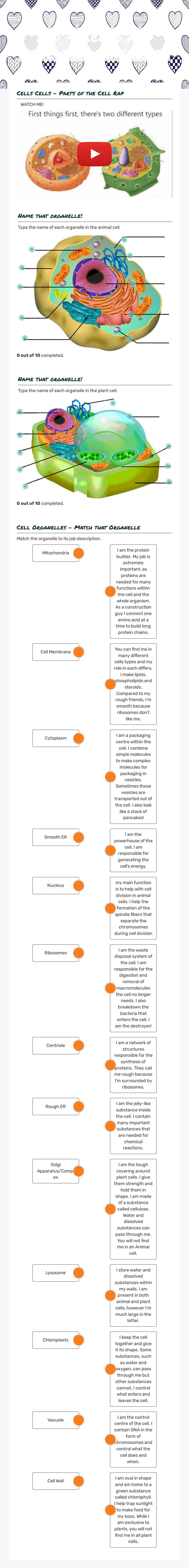 3rd - Cells and their organelles worksheet preview image