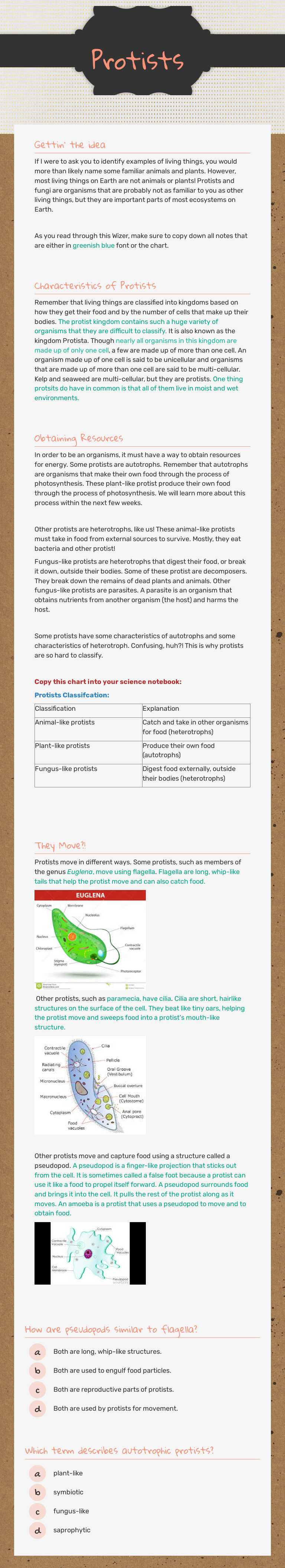 Protists worksheet preview image