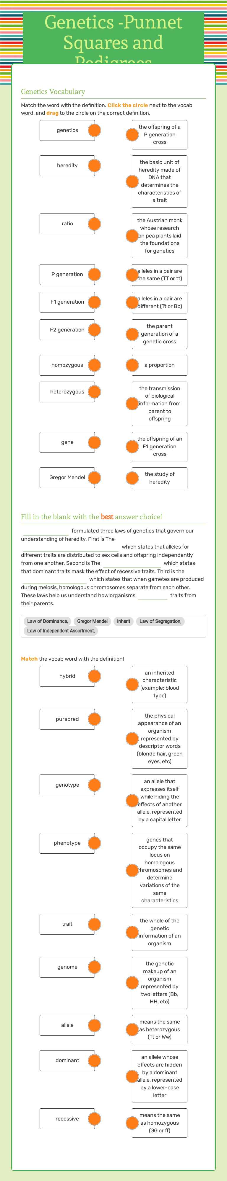 Genetics -Punnet Squares and Pedigrees Grade 11 worksheet preview
