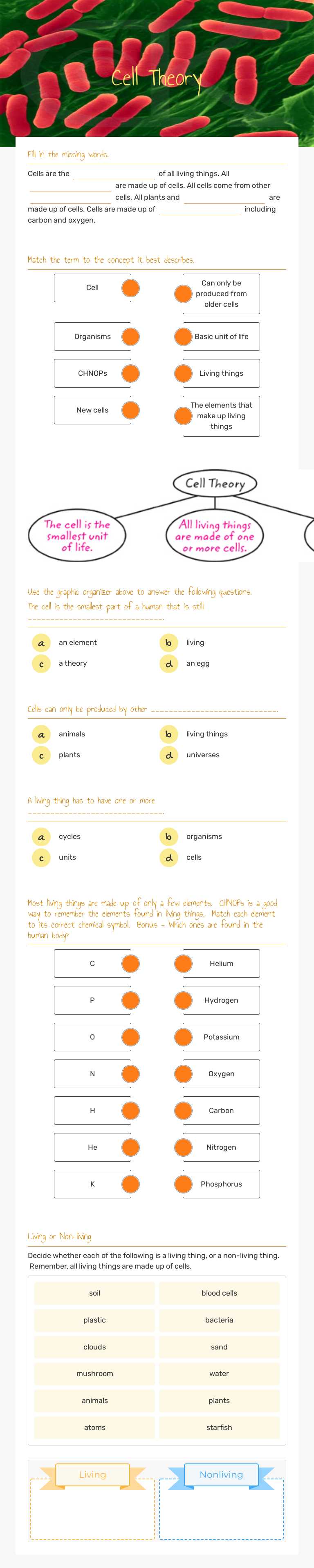 Cell Theory worksheet preview image