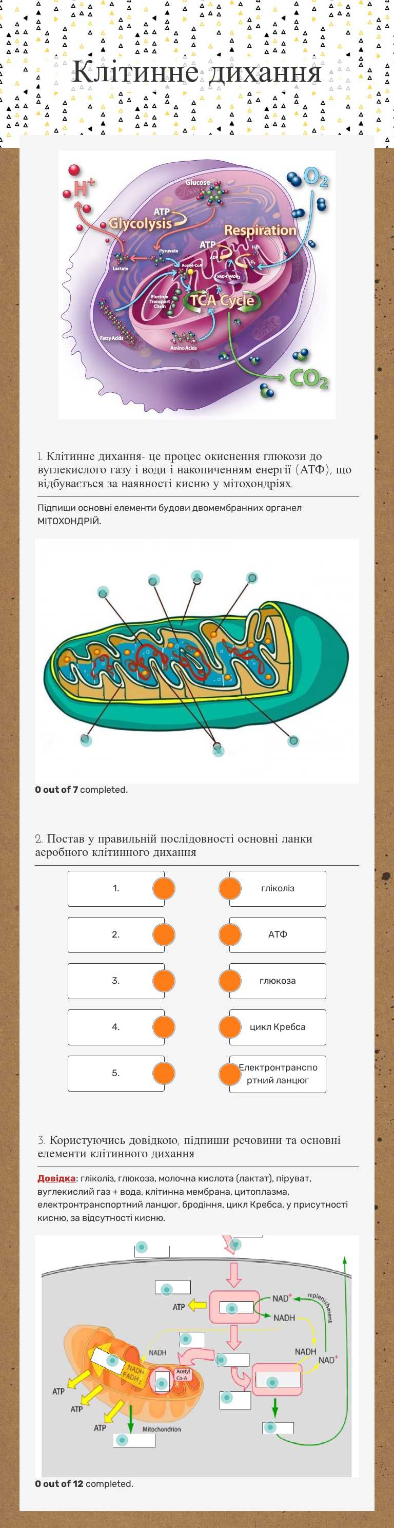 Клітинне  дихання worksheet preview image