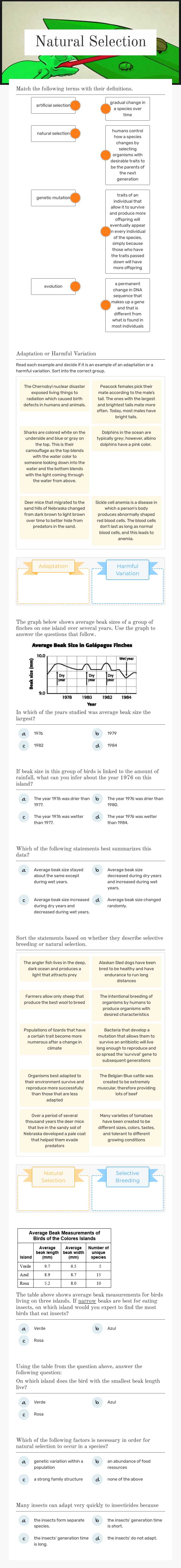 Natural Selection worksheet preview image