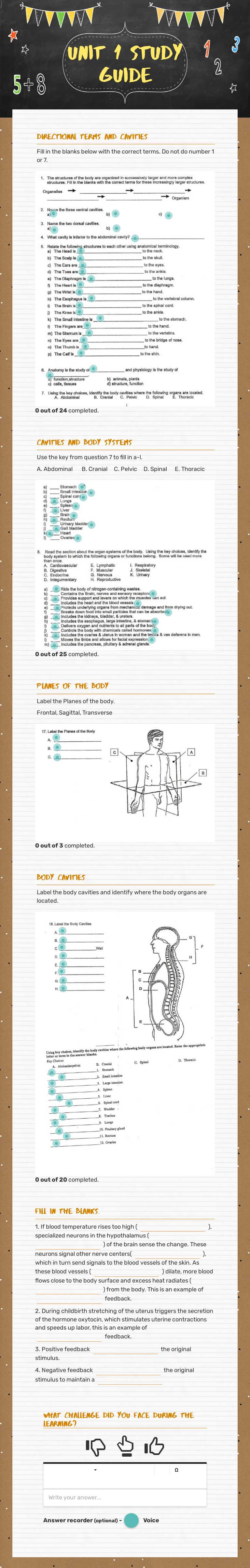 Unit 1 Study Guide worksheet preview image