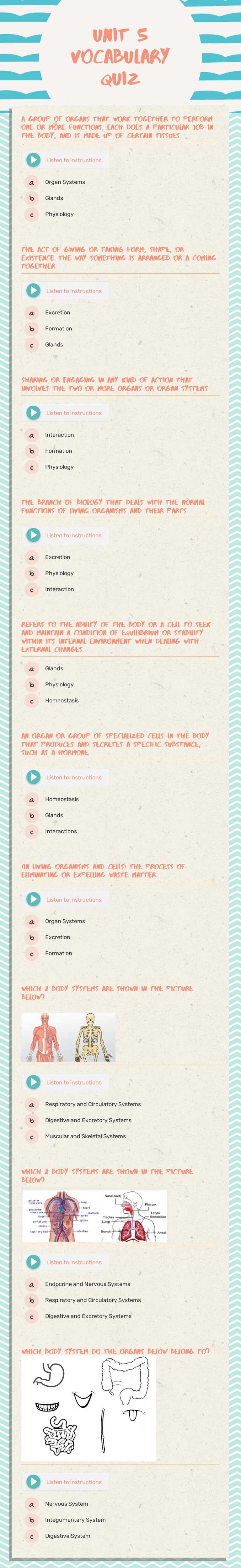 Unit 5 Vocabulary Quiz worksheet preview