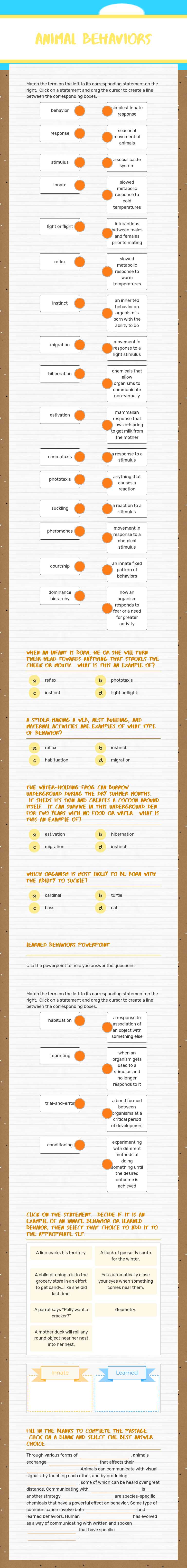 Animal Behaviors worksheet preview image