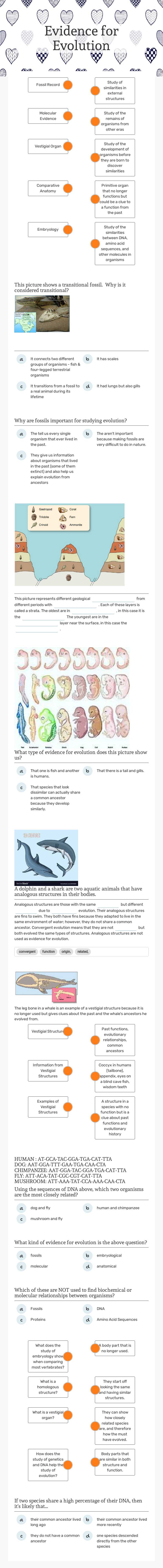 Evidence for Evolution worksheet preview image