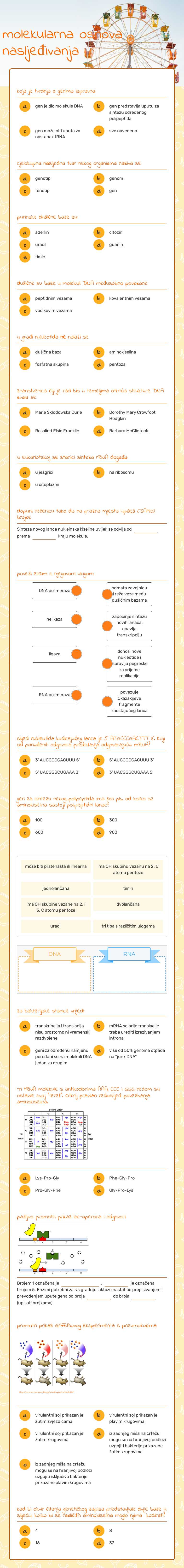 molekularna osnova nasljeđivanja Grade 12 worksheet preview