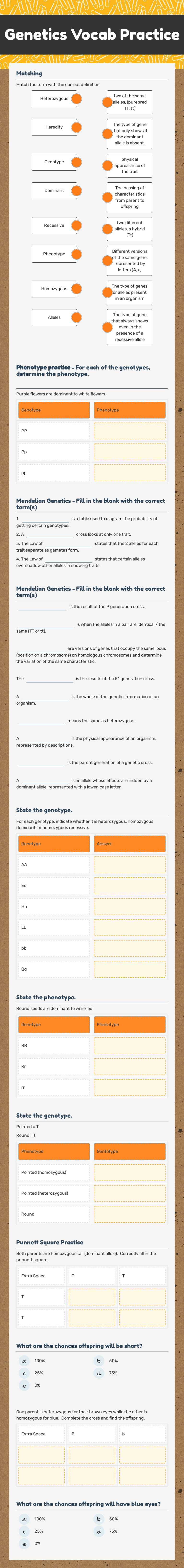 Genetics Vocab Practice worksheet preview image