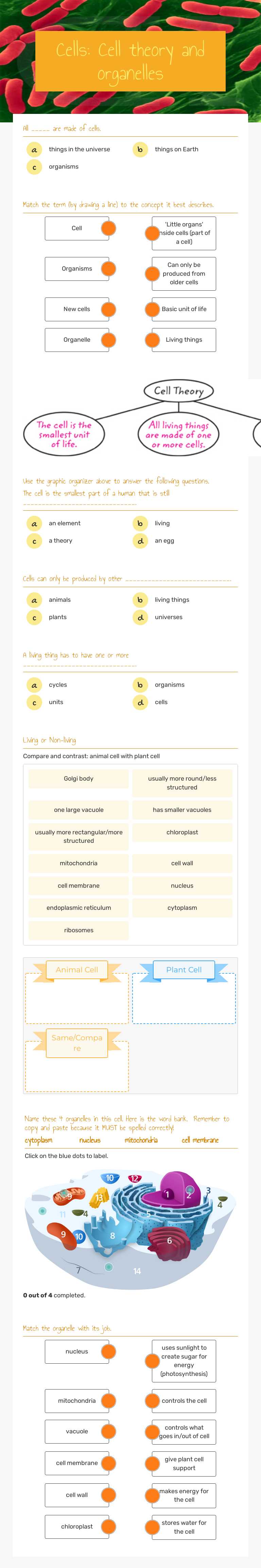 Cells: Cell theory and organelles worksheet preview image