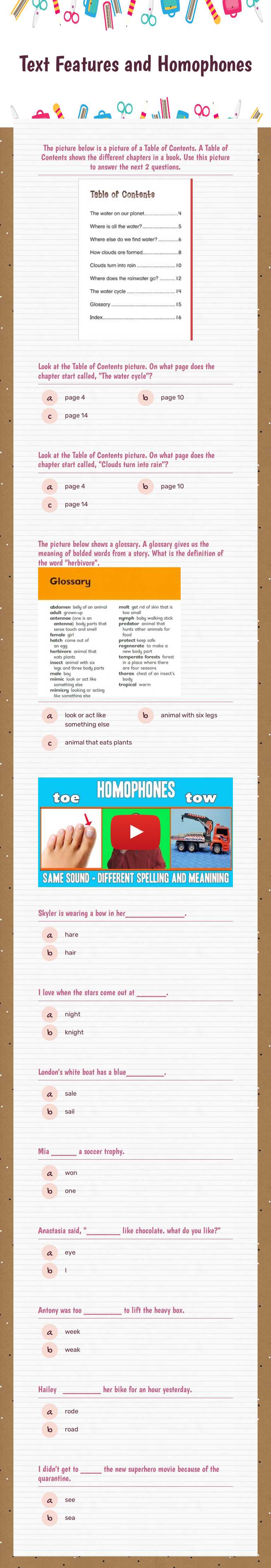Text Features and Homophones worksheet preview image