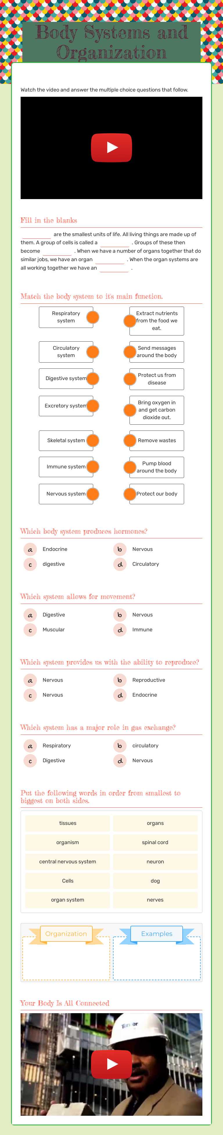 Body Systems and Organization worksheet preview image