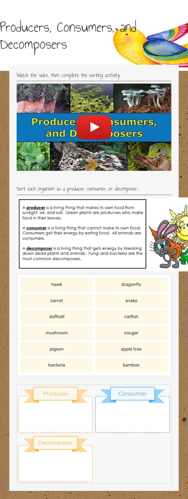 Producers, Consumers, and Decomposers worksheet preview image