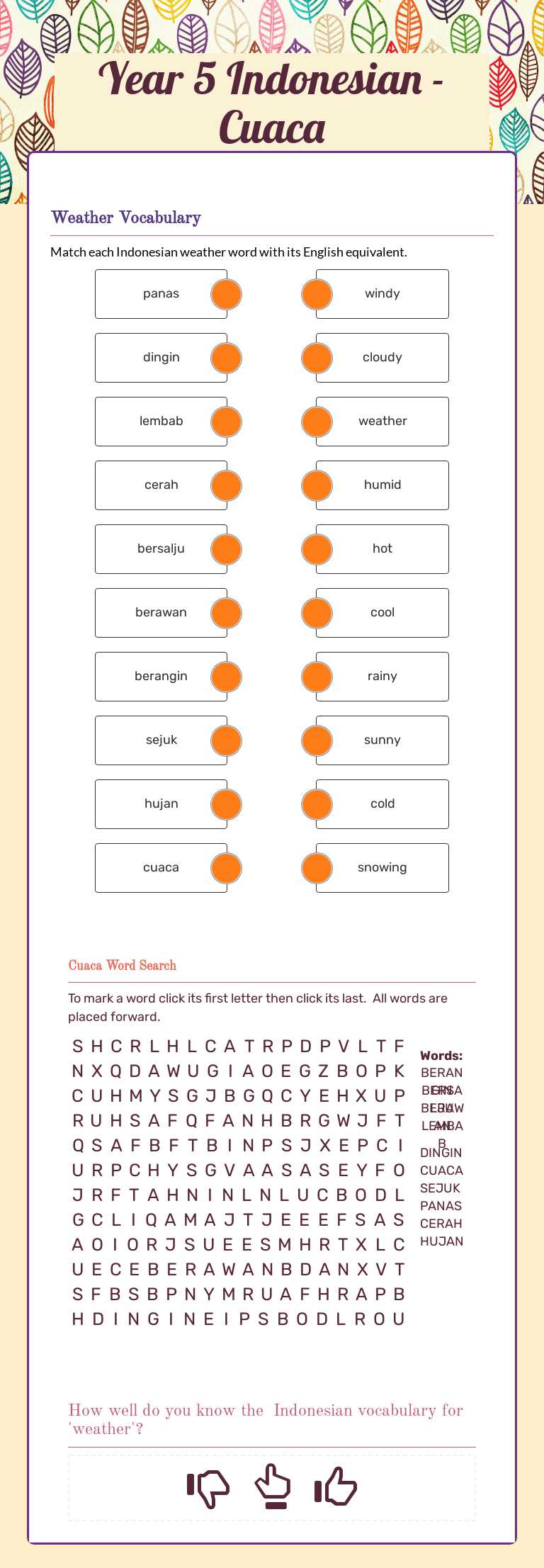 Year 5 Indonesian -Cuaca worksheet preview image