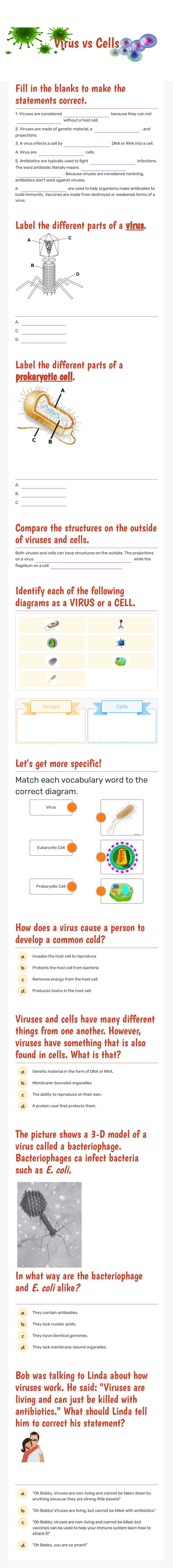 Virus vs Cells Grade 9 worksheet preview