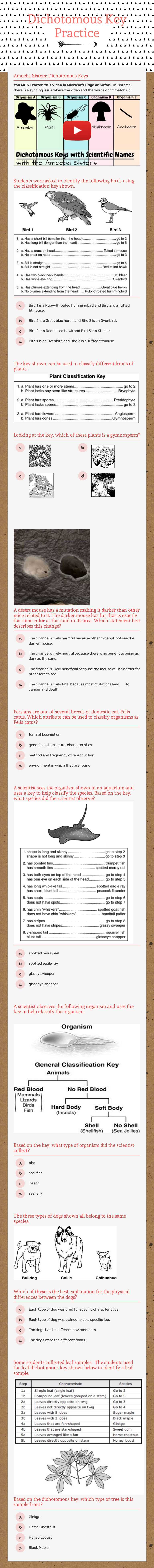 Dichotomous
 Key Wizer Me worksheet preview image