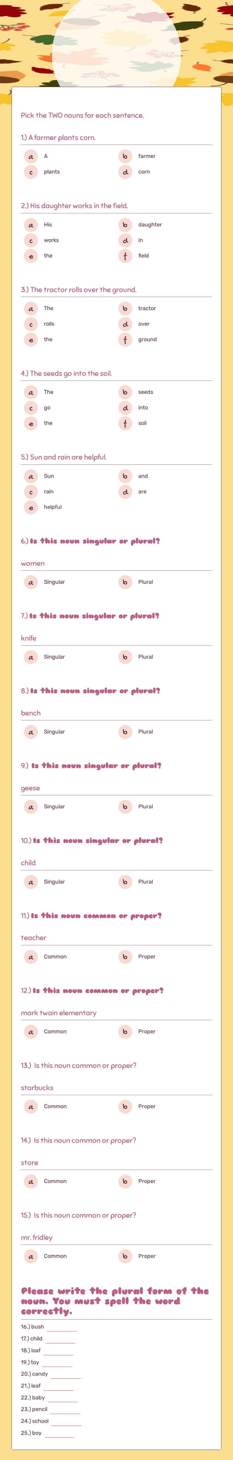 Nouns Test worksheet preview image