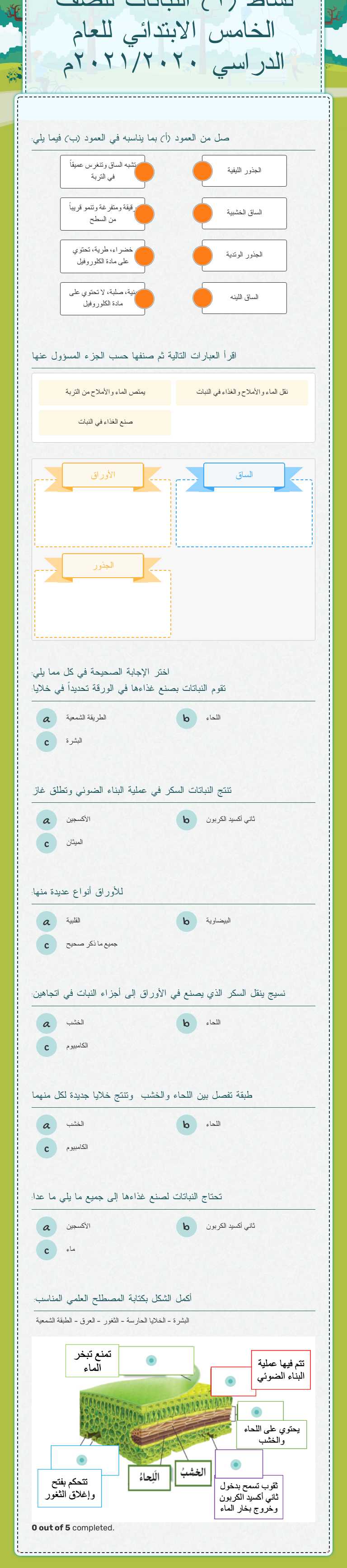 نشاط (٢) النباتات للصف الخامس الابتدائي للعام الدراسي ٢٠٢١/٢٠٢٠م worksheet preview