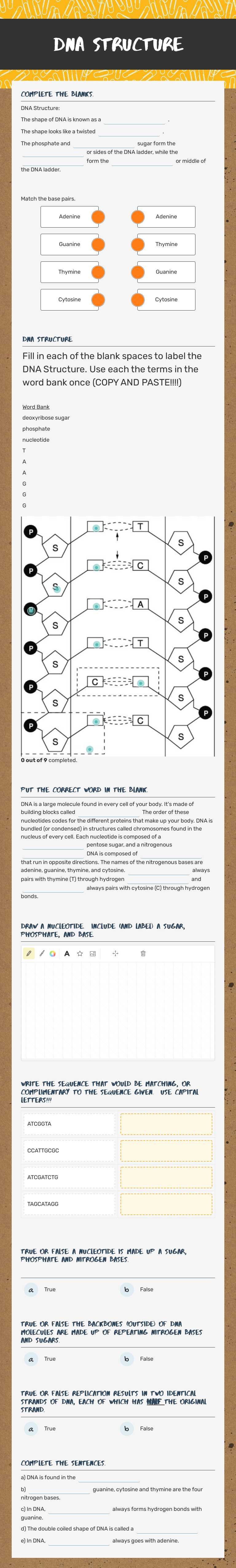 DNA Structure worksheet preview image