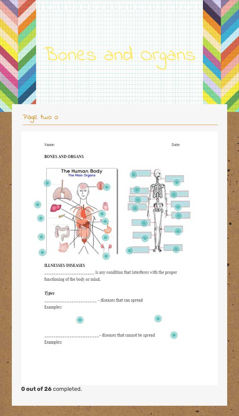 Bones and Organs worksheet preview image