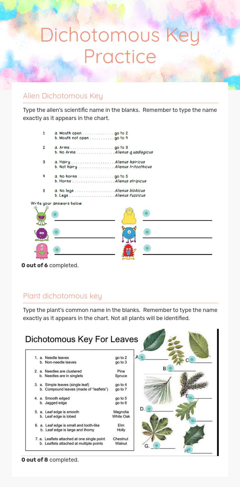 Dichotomous Key Practice worksheet preview image