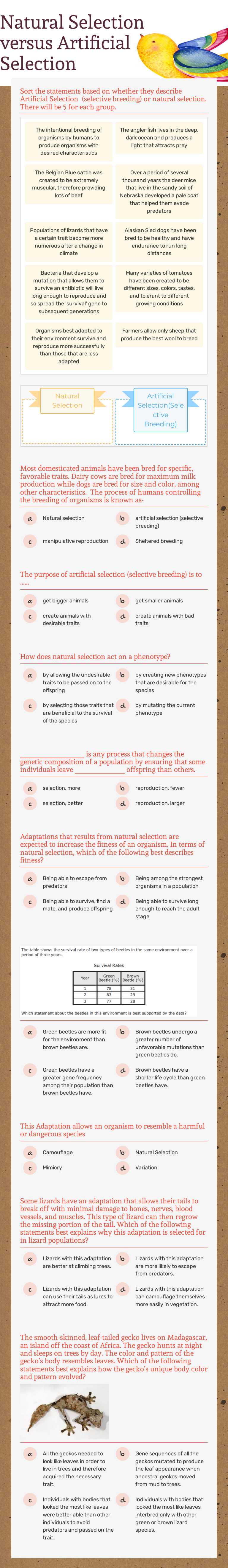 Natural vs. Artificial Selection: Master evolution! Practice sorting ...