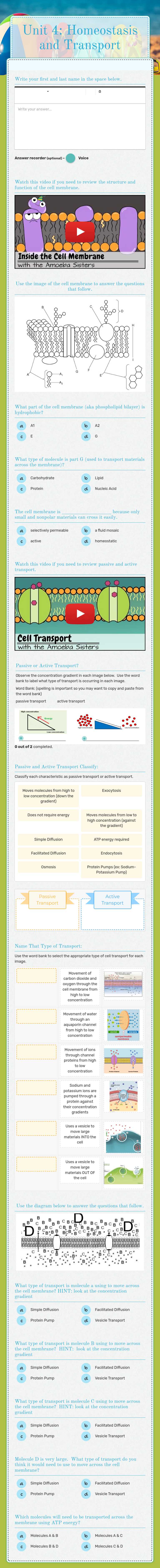 Unit 4: Homeostasis and Transport worksheet preview image