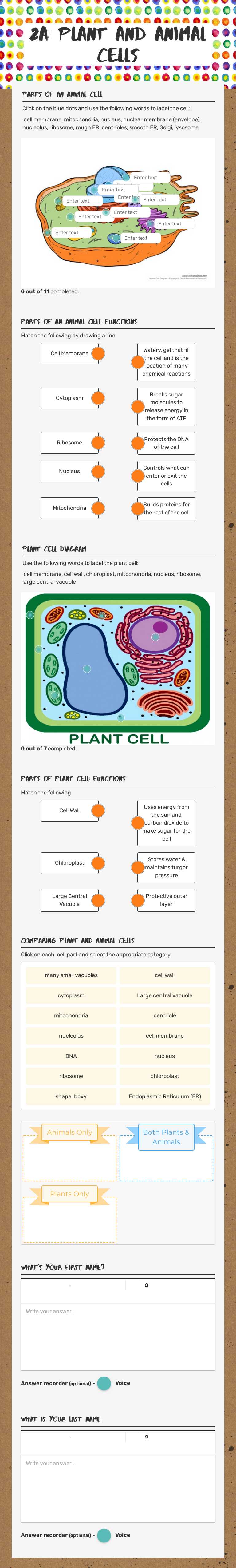 2A: Plant and Animal Cells worksheet preview image