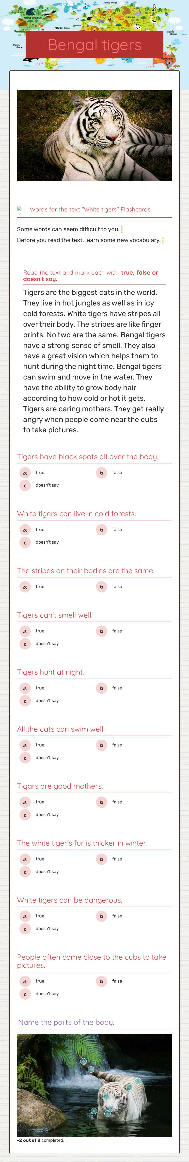 Bengal tigers worksheet preview image