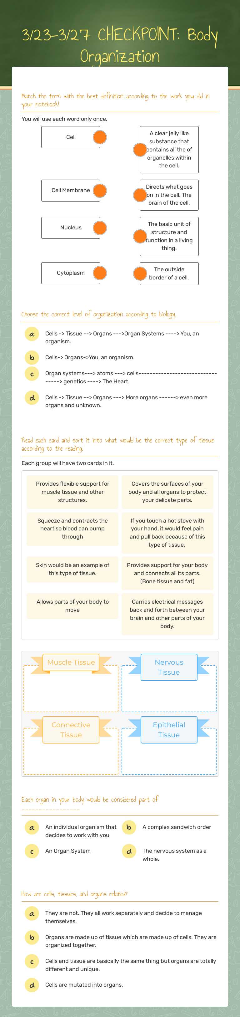 3/23-3/27  CHECKPOINT:  Body Organization worksheet preview image