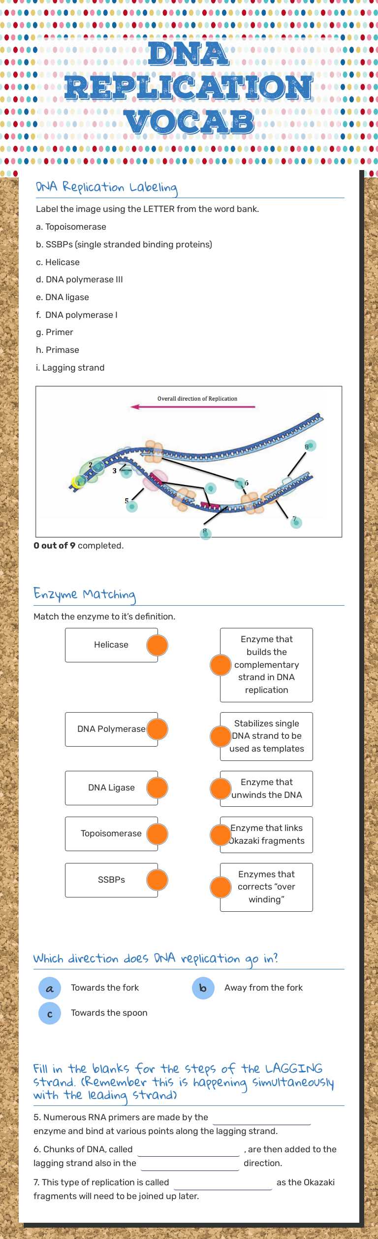 DNA Replication Vocab Grade 10 worksheet preview