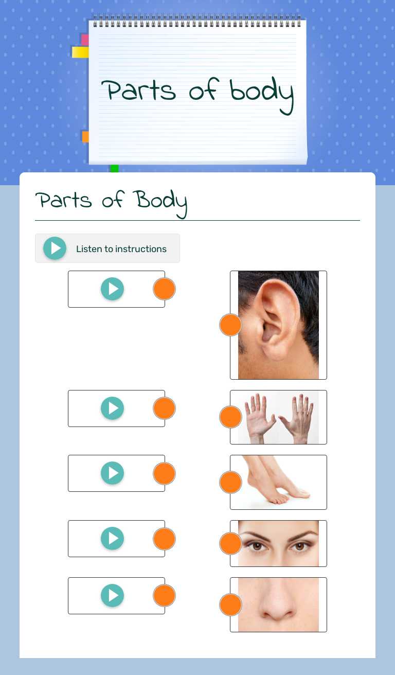 Parts of body worksheet preview image