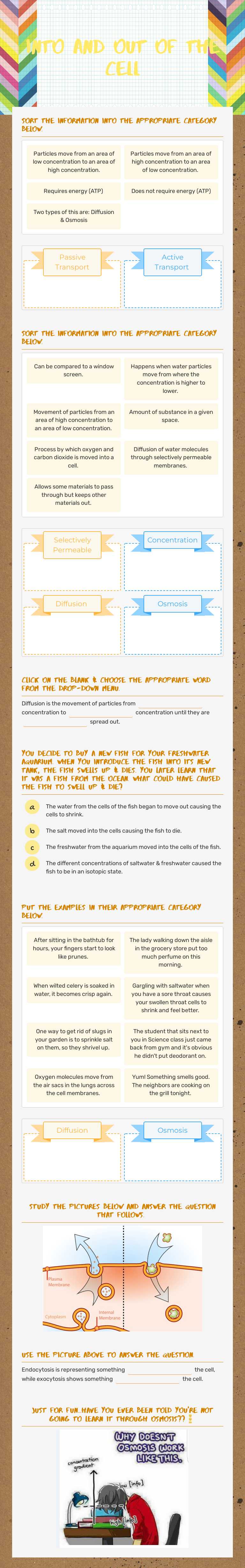 INTO AND OUT OF THE CELL Grade 7 worksheet preview
