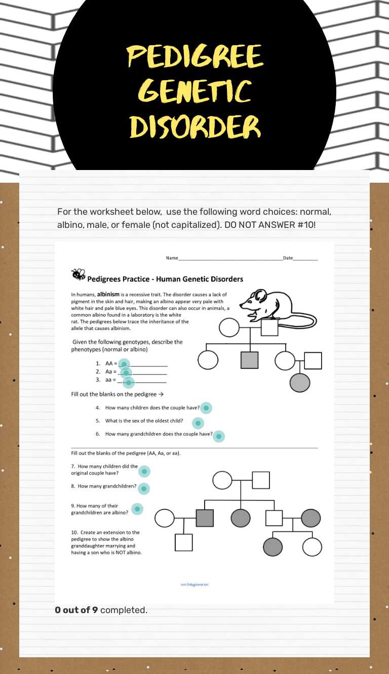 Pedigree
Genetic Disorder worksheet preview image