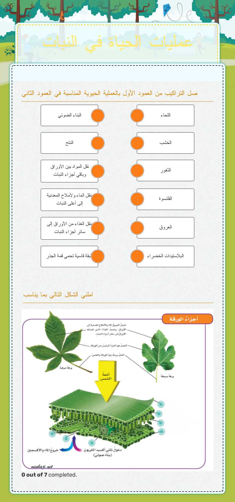 عمليات الحياة في النبات Grade 6 worksheet preview