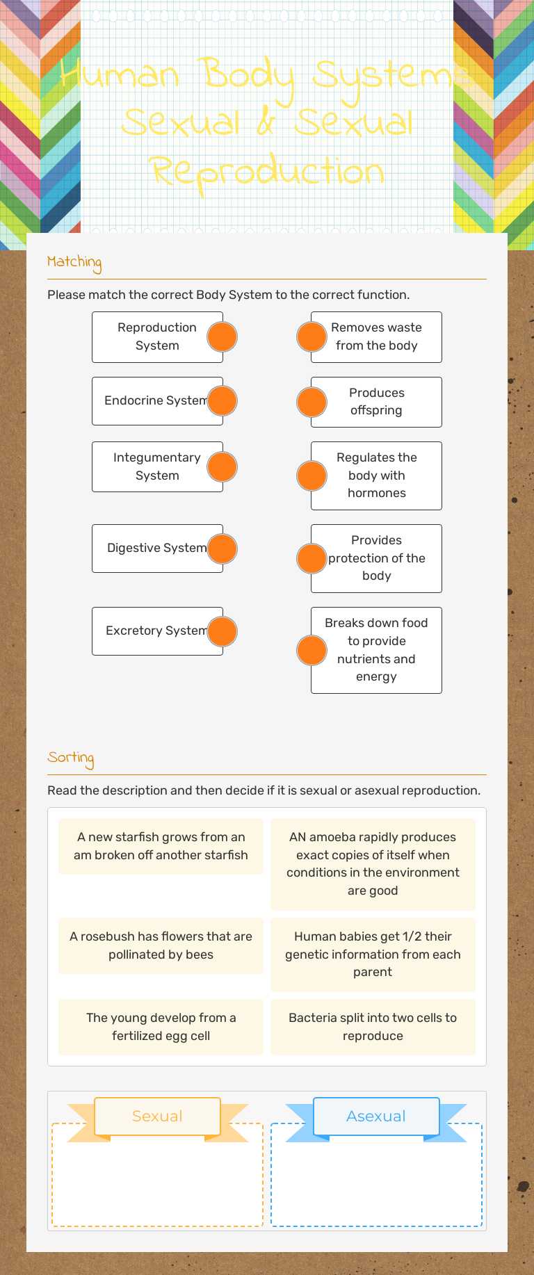 Human Body Systems Sexual & Sexual Reproduction worksheet preview image