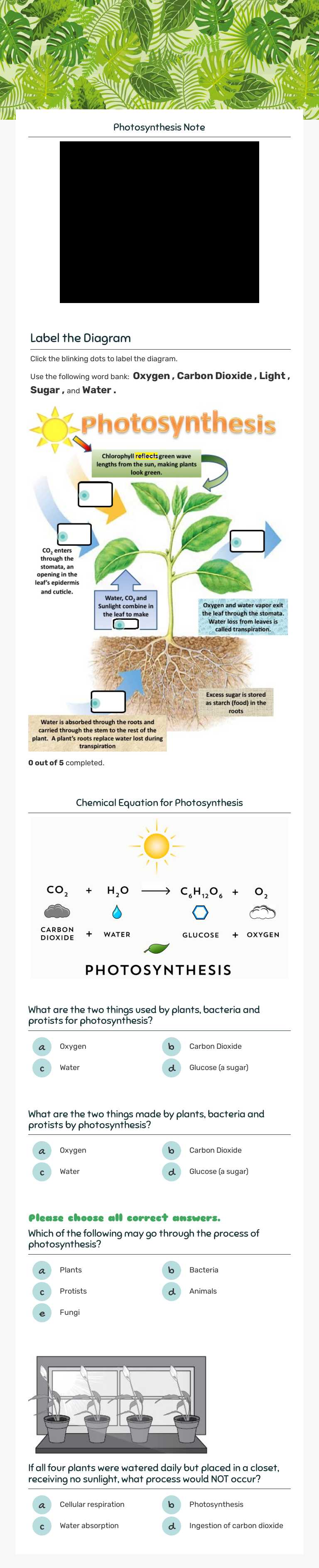 LS 4  PHOTOSYNTHESIS worksheet preview image