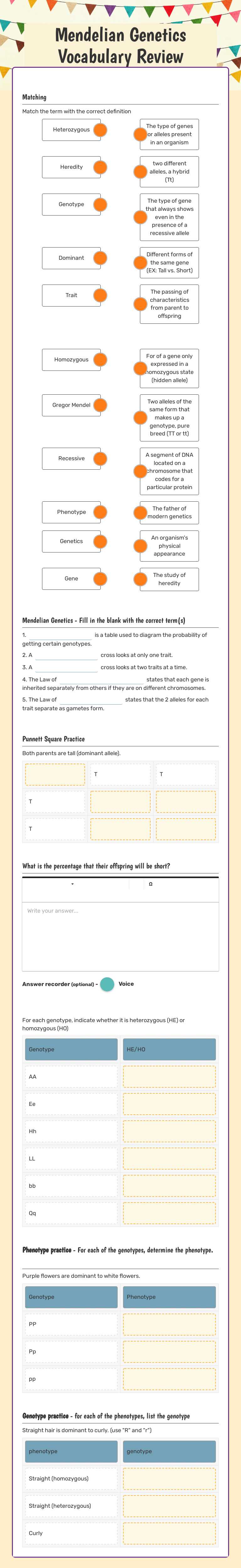 Mendelian Genetics Vocabulary Review worksheet preview image