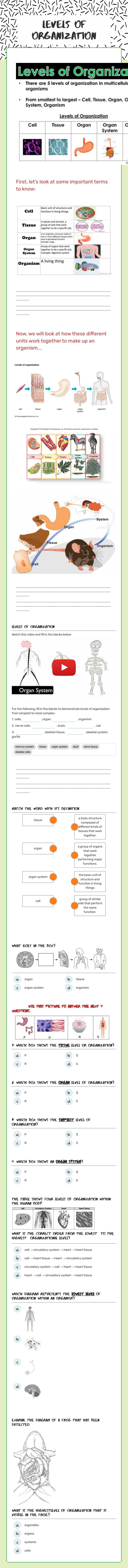 Levels of Organization worksheet preview image