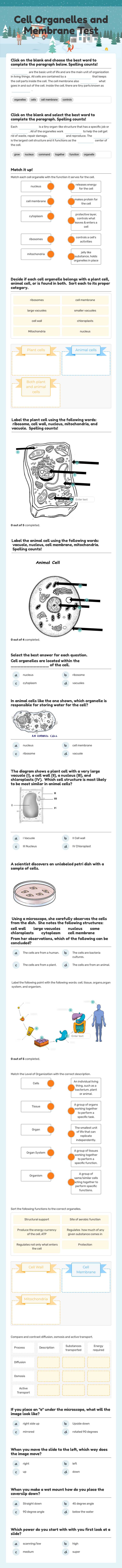 Cell Organelles and Membrane Test Grade 6 worksheet preview